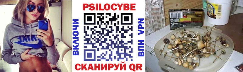 купить  сайты  Власиха  Псилоцибиновые грибы MAGIC MUSHROOMS 