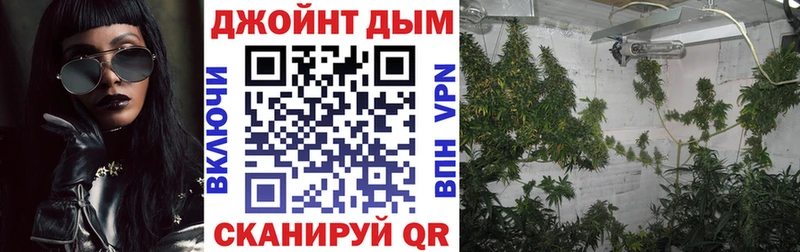 Марихуана SATIVA & INDICA  хочу наркоту  Власиха 